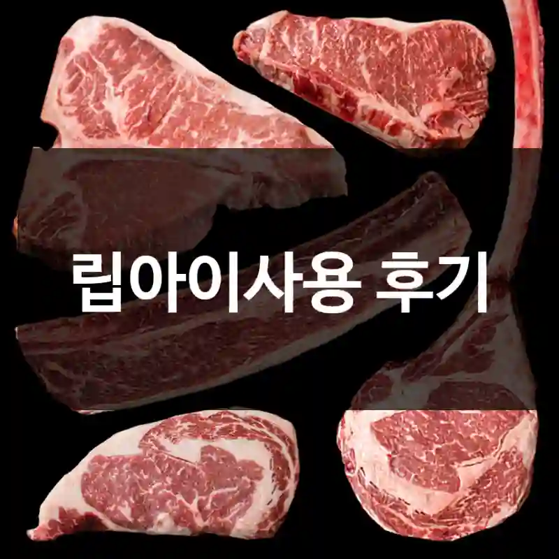 립아이사용 후기