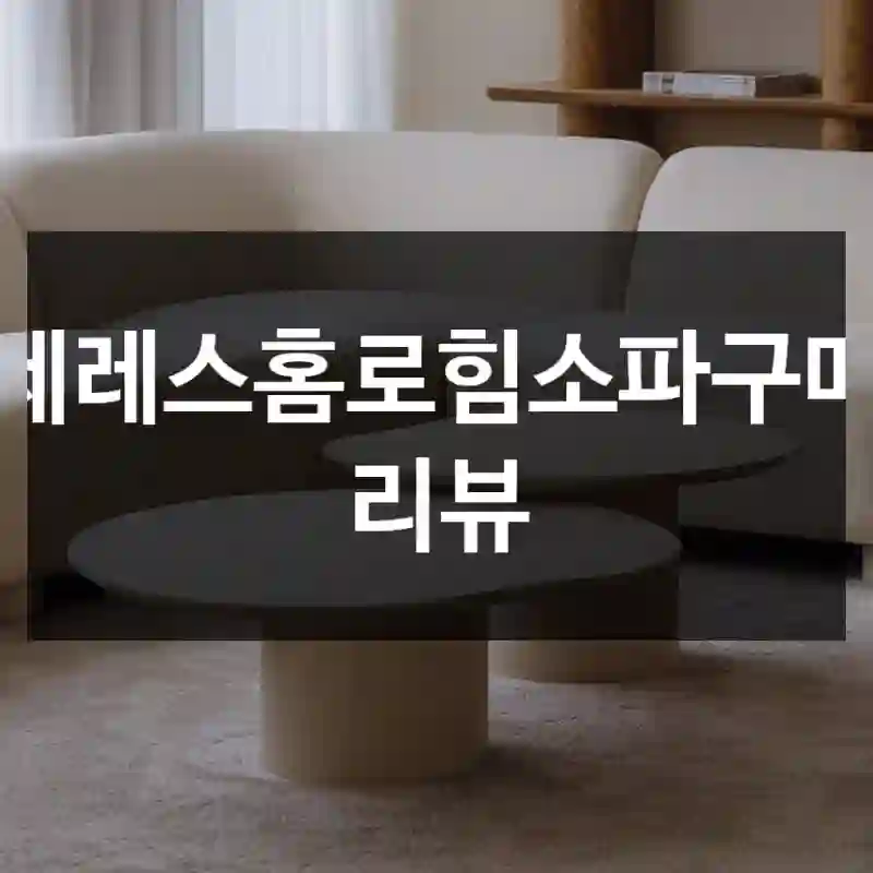 세레스홈로힘소파구매 리뷰