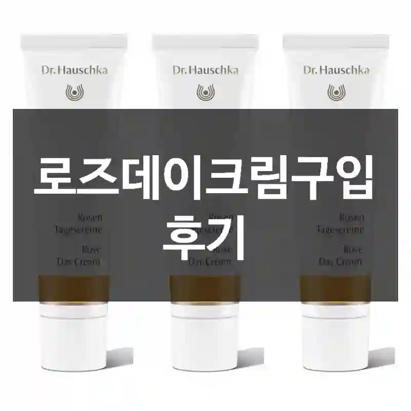 로즈데이크림구입 후기