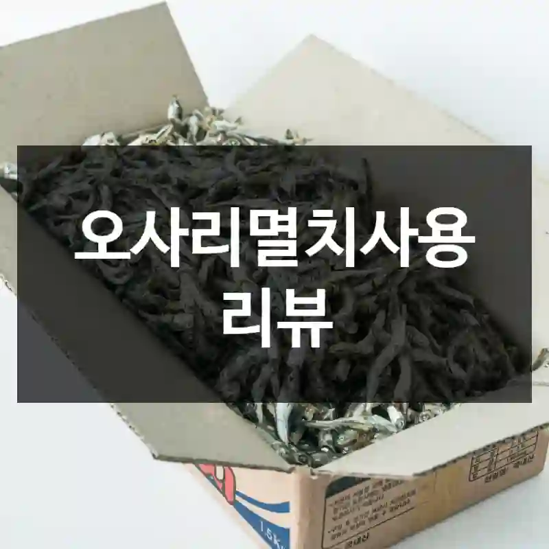 오사리멸치사용 리뷰