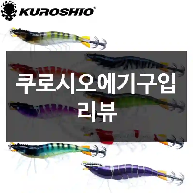 쿠로시오에기구입 리뷰