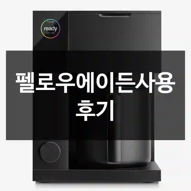 펠로우에이든사용 후기