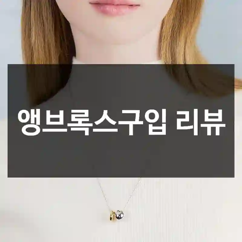 앵브록스구입 리뷰