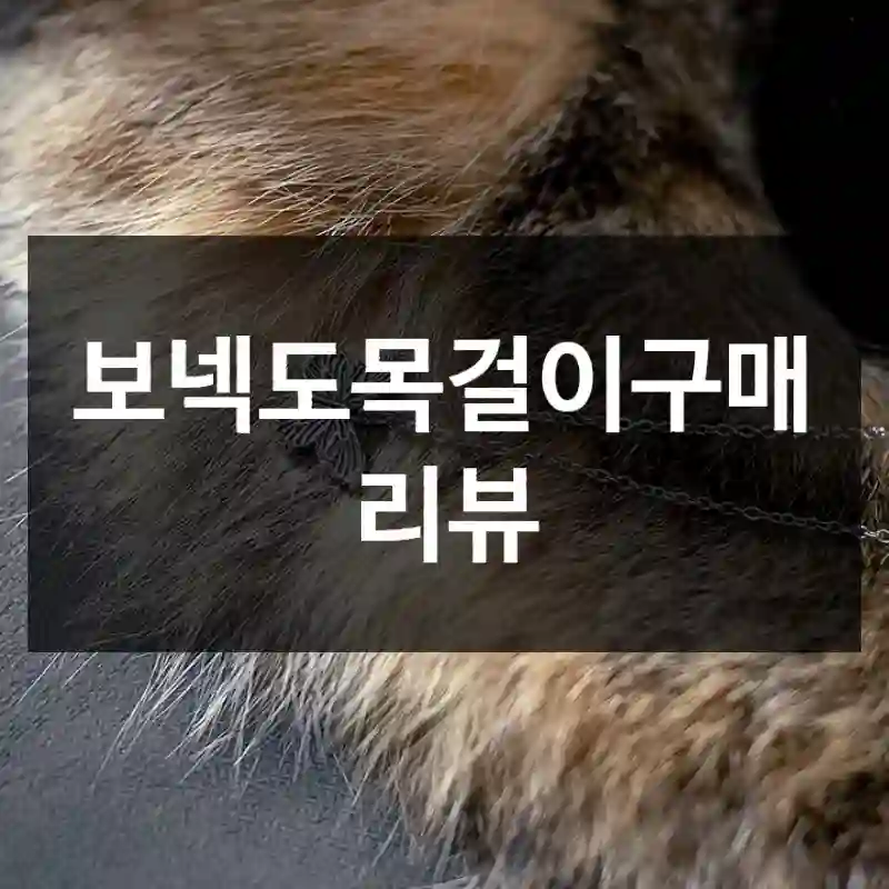 보넥도목걸이구매 리뷰