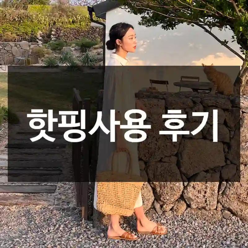 핫핑사용 후기