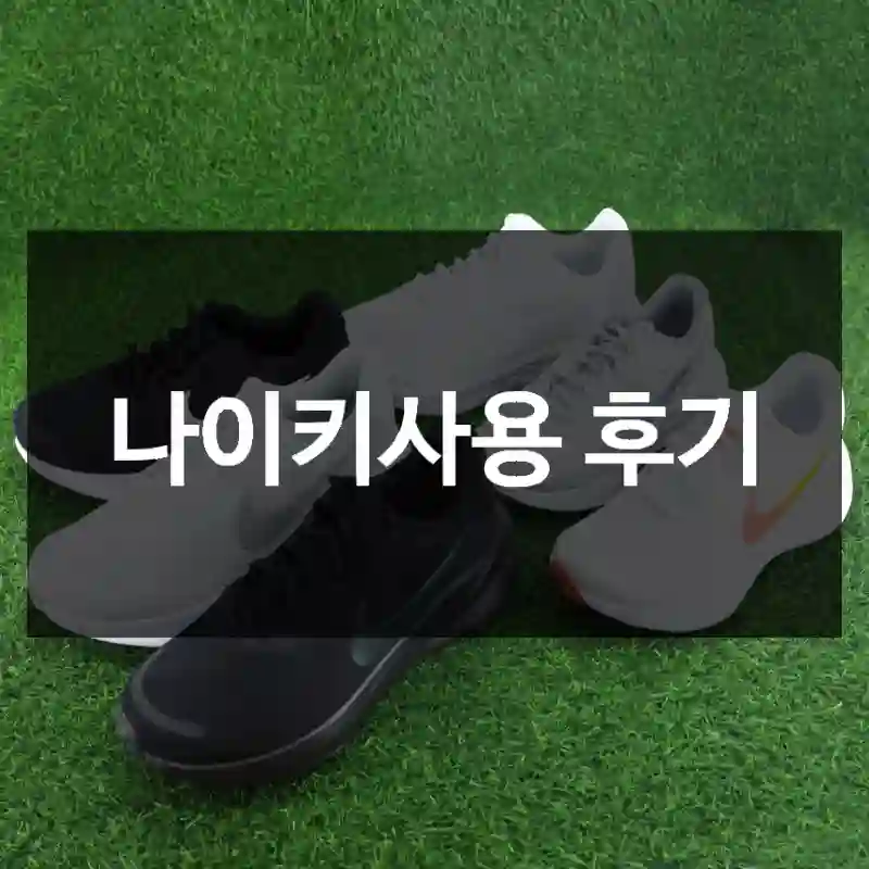 나이키사용 후기