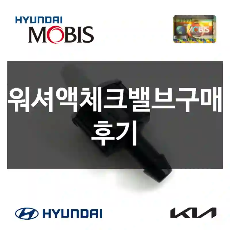 워셔액체크밸브구매 후기