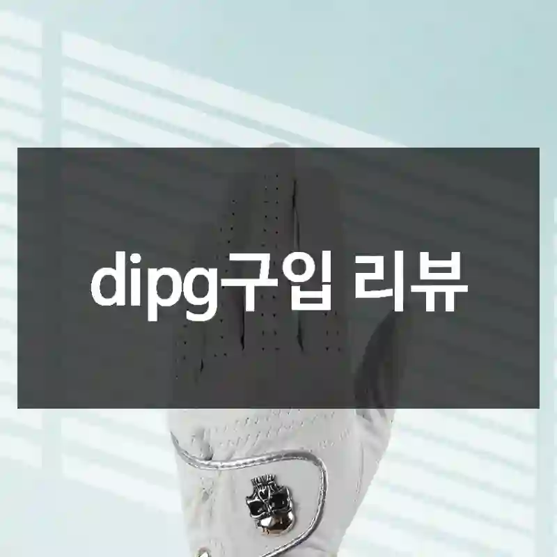 dipg구입 리뷰