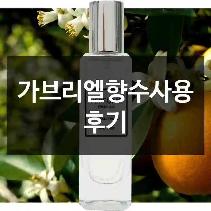 가브리엘향수사용 후기