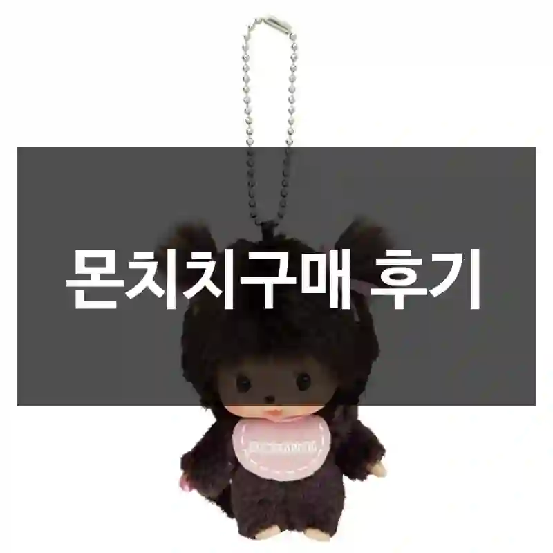몬치치구매 후기