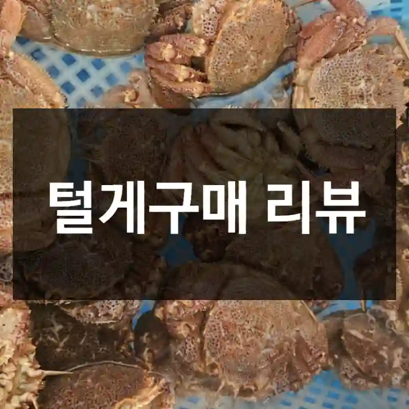 털게구매 리뷰