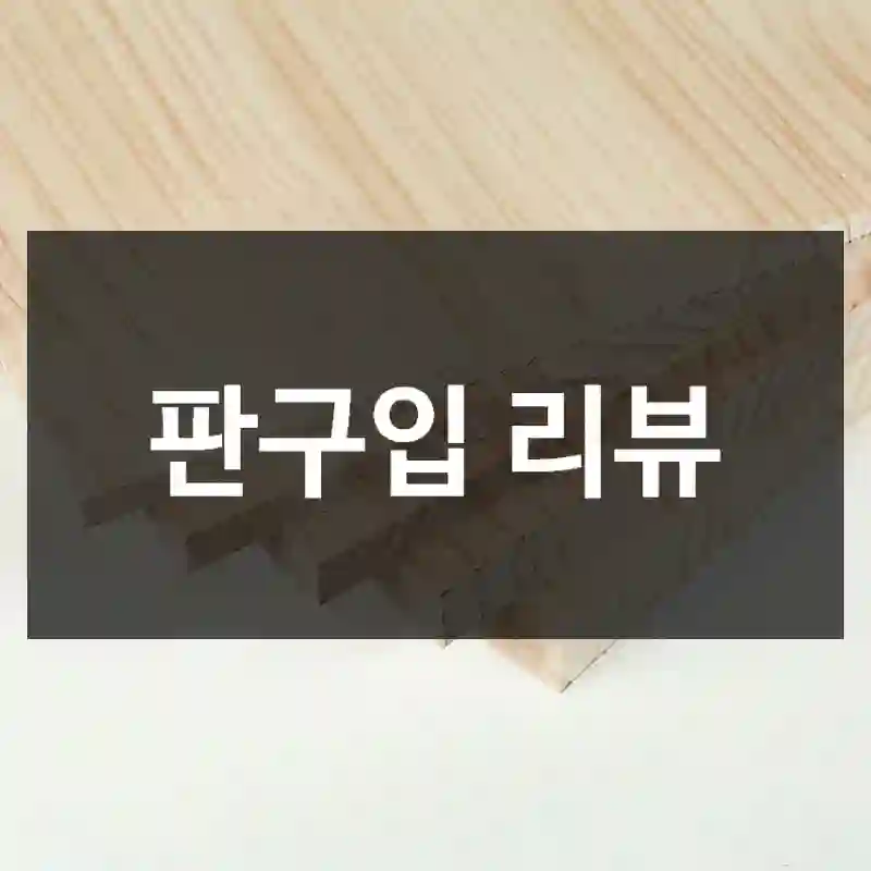 판구입 리뷰