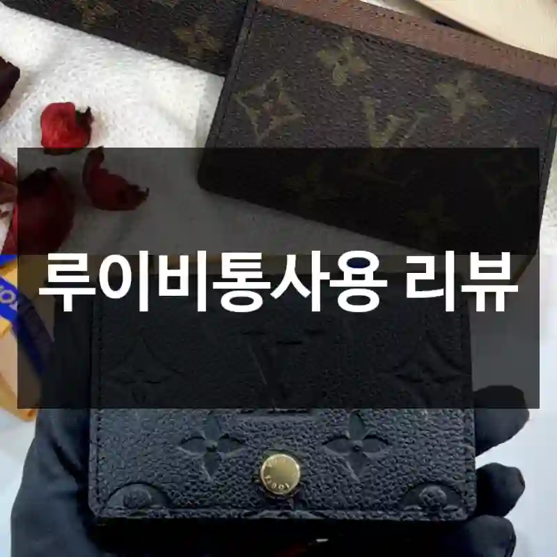 루이비통사용 리뷰