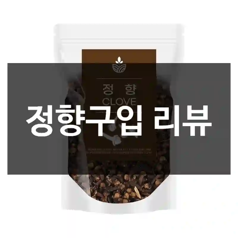 정향구입 리뷰