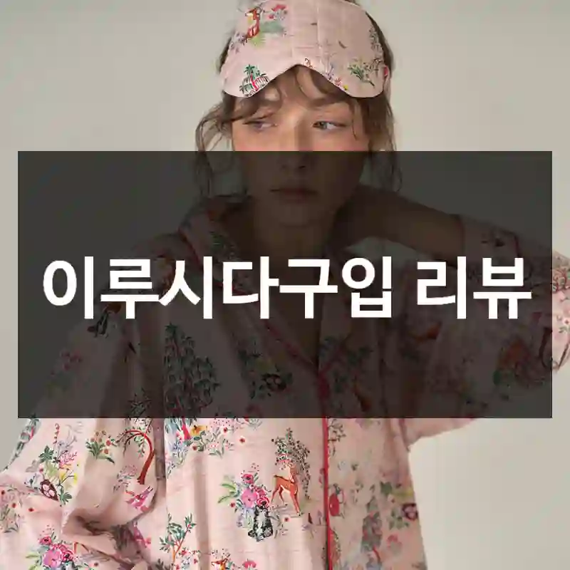 이루시다구입 리뷰