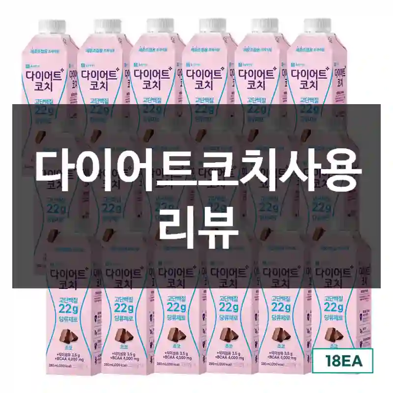 다이어트코치사용 리뷰