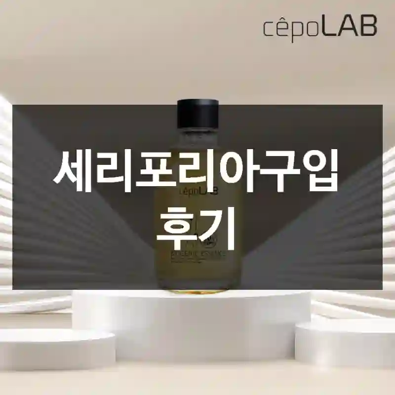 세리포리아구입 후기