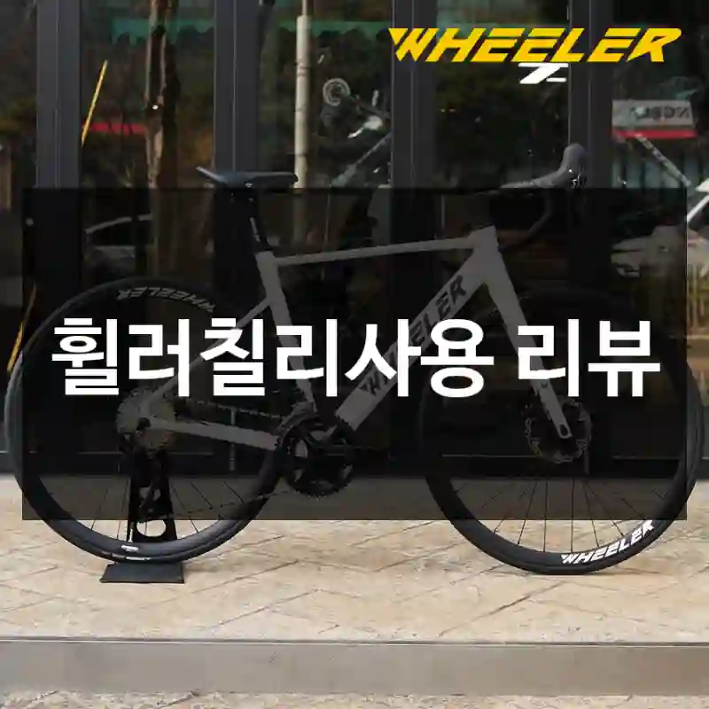 휠러칠리사용 리뷰