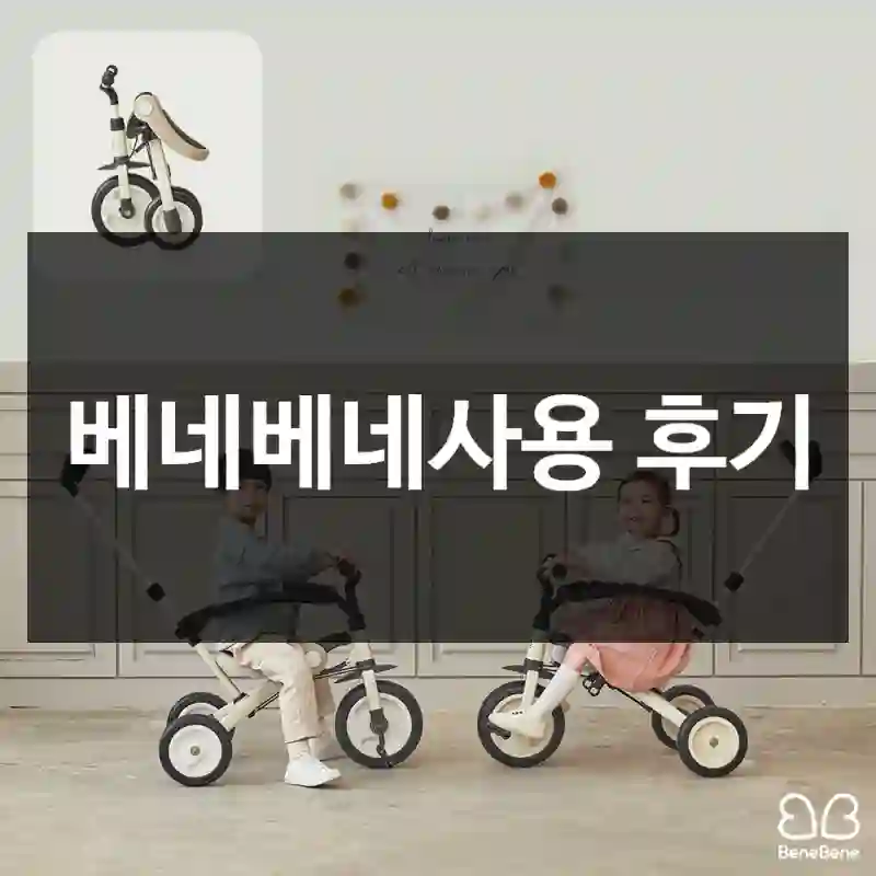베네베네사용 후기
