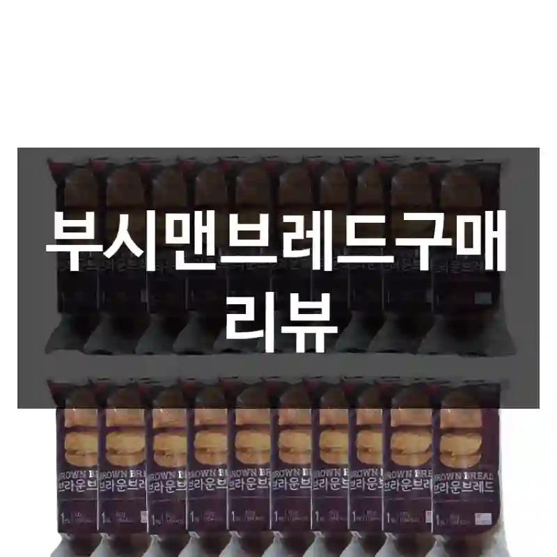 부시맨브레드구매 리뷰