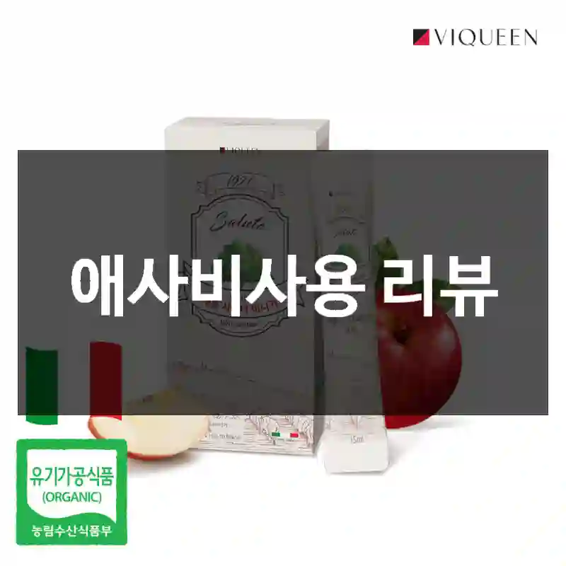 애사비사용 리뷰