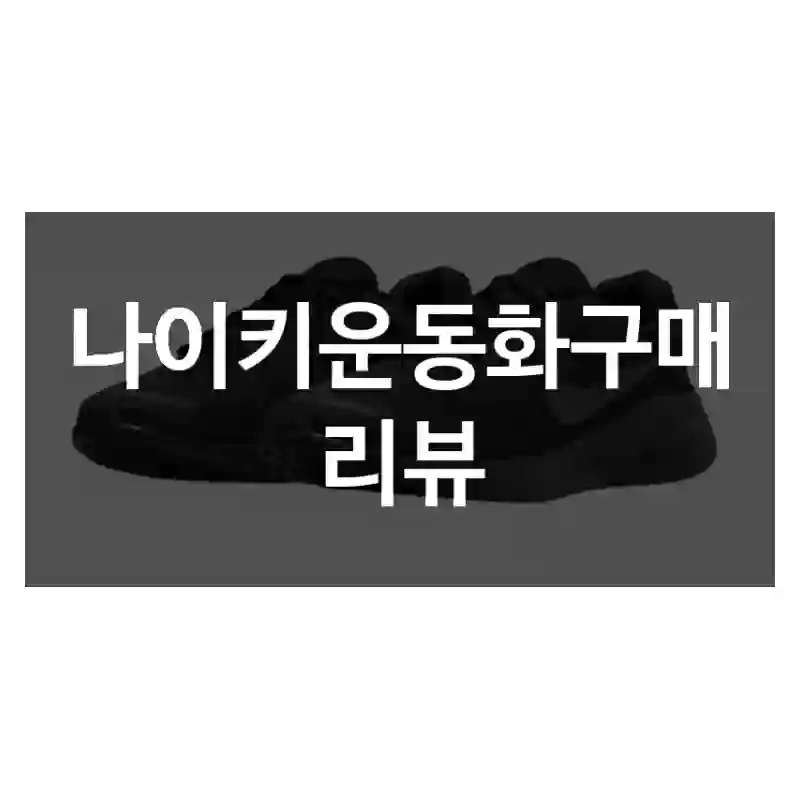 나이키운동화구매 리뷰