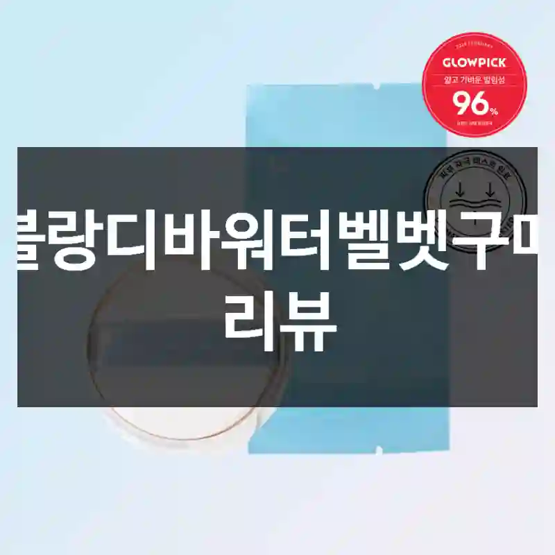 블랑디바워터벨벳구매 리뷰