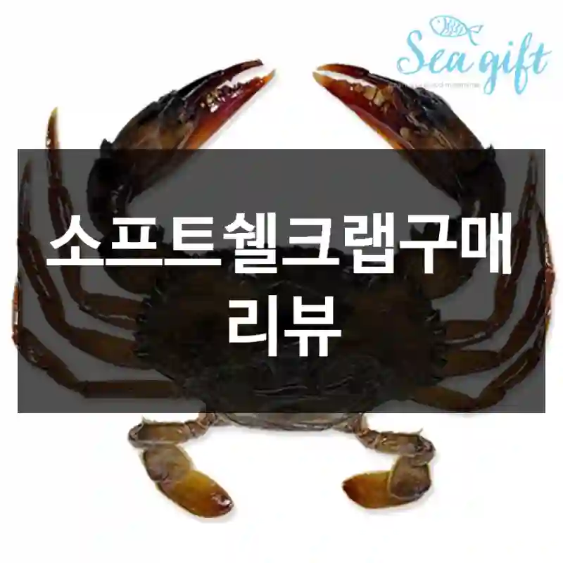 소프트쉘크랩구매 리뷰
