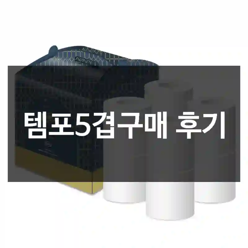 템포5겹구매 후기