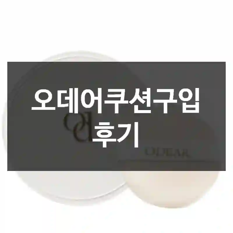 오데어쿠션구입 후기