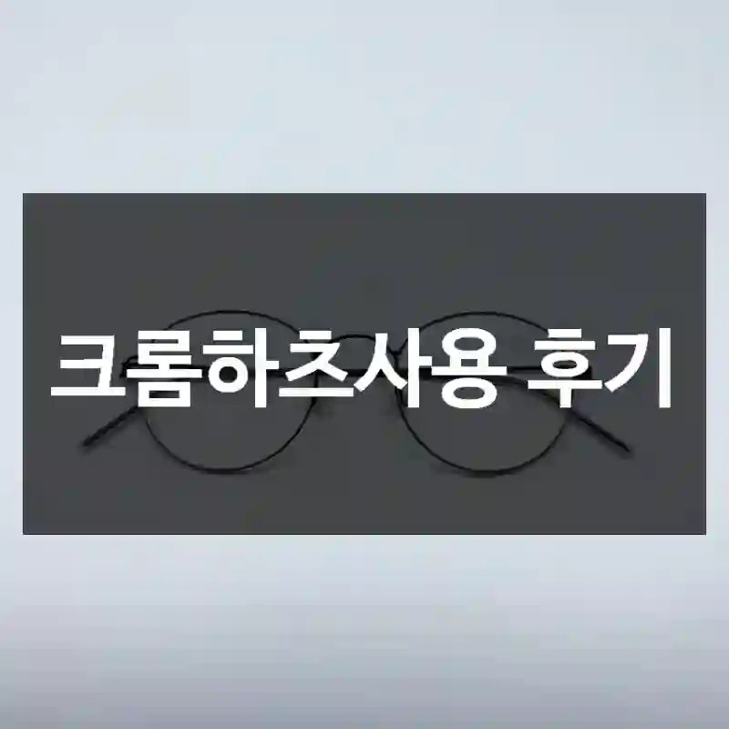 크롬하츠사용 후기