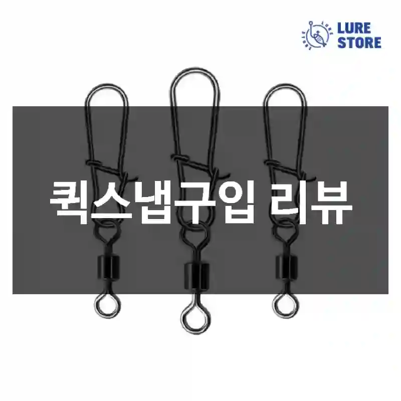 퀵스냅구입 리뷰