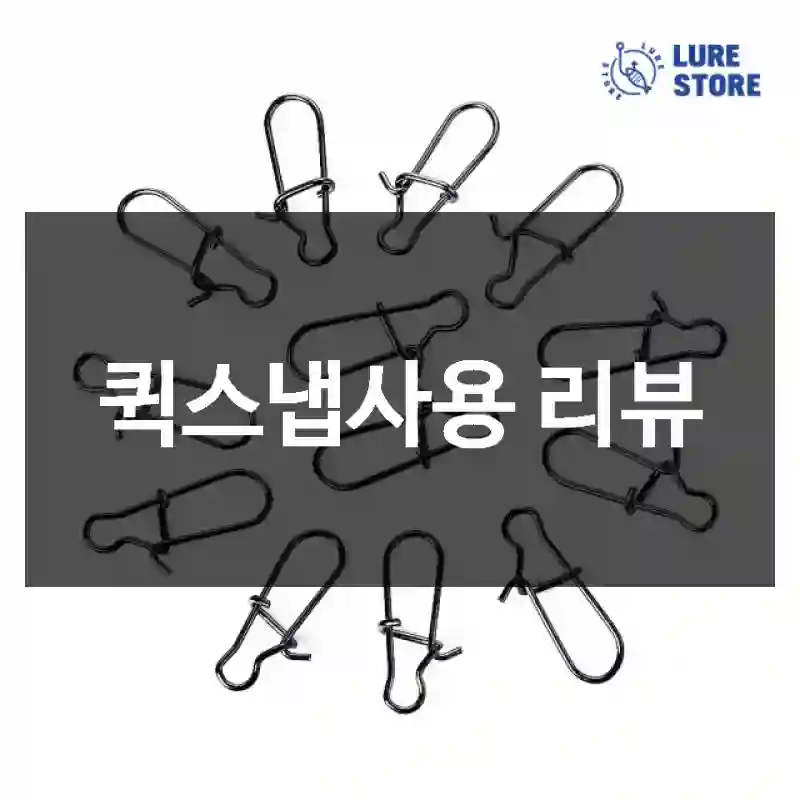 퀵스냅사용 리뷰