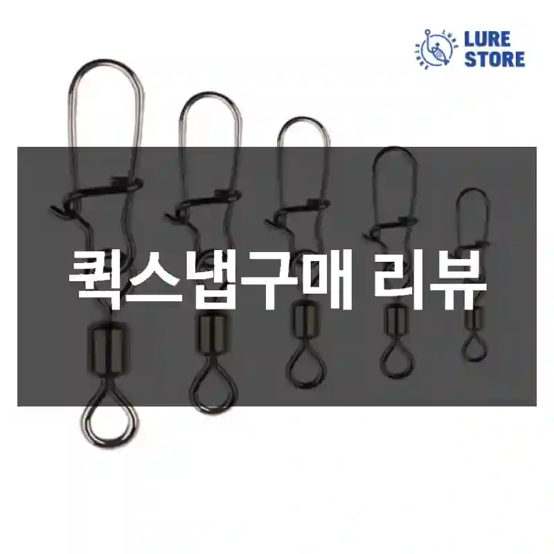 퀵스냅구매 리뷰