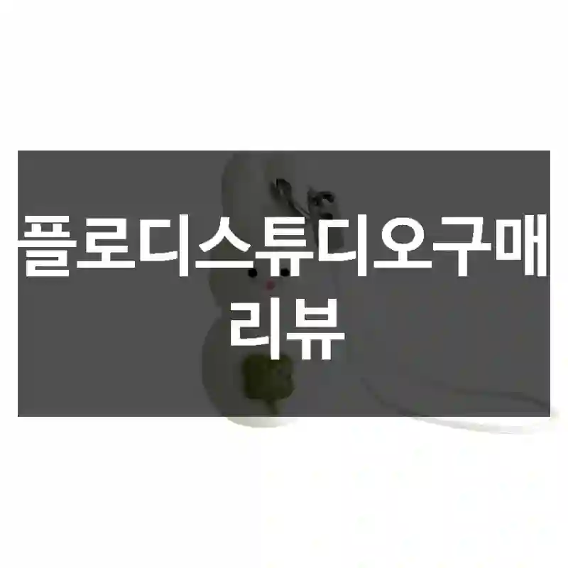 플로디스튜디오구매 리뷰