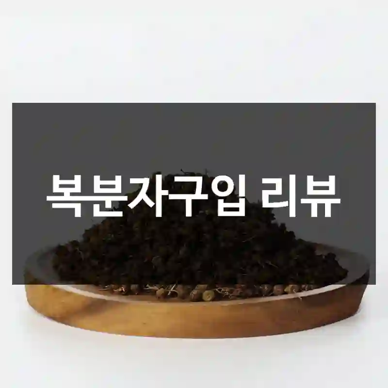복분자구입 리뷰