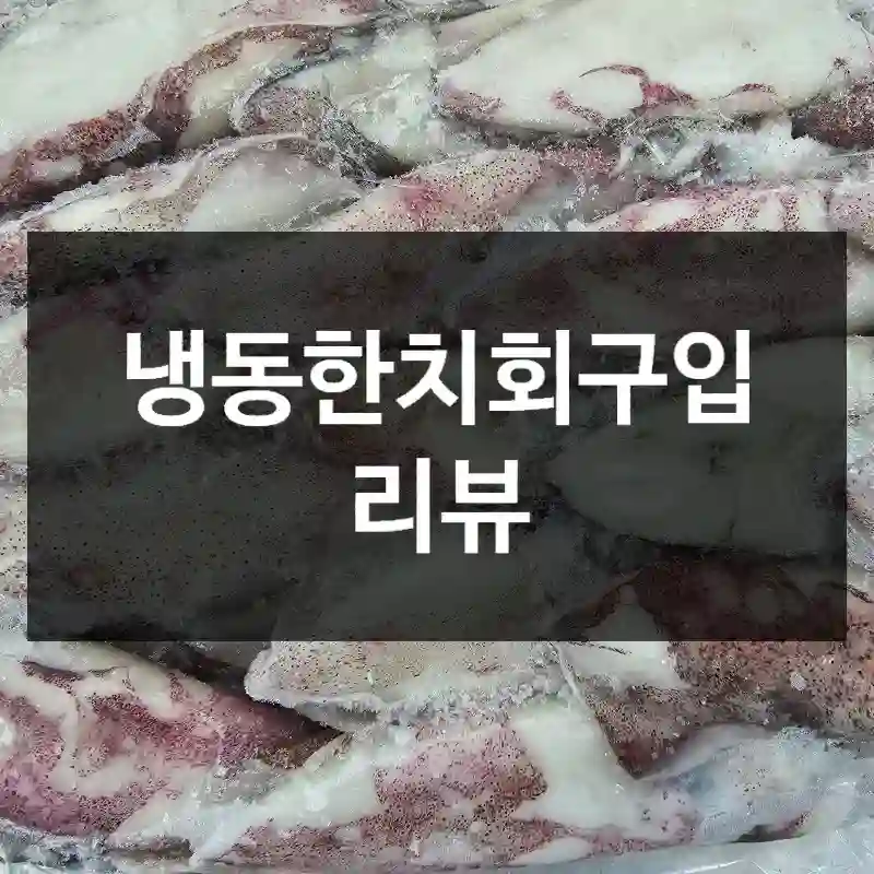 냉동한치회구입 리뷰