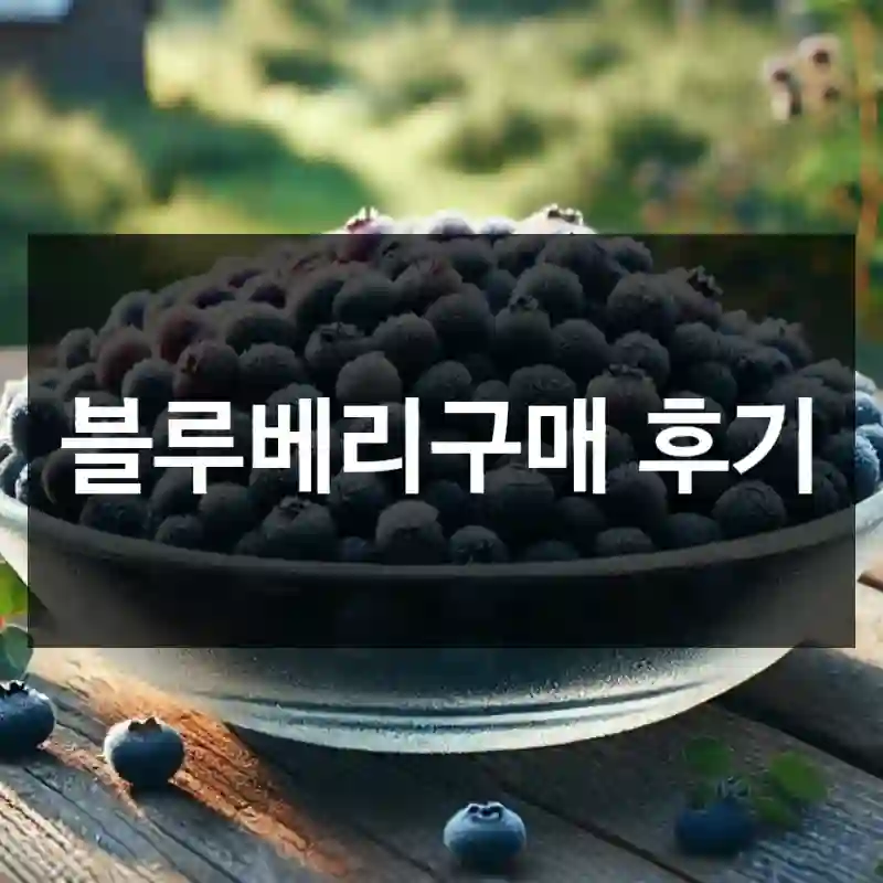 블루베리구매 후기