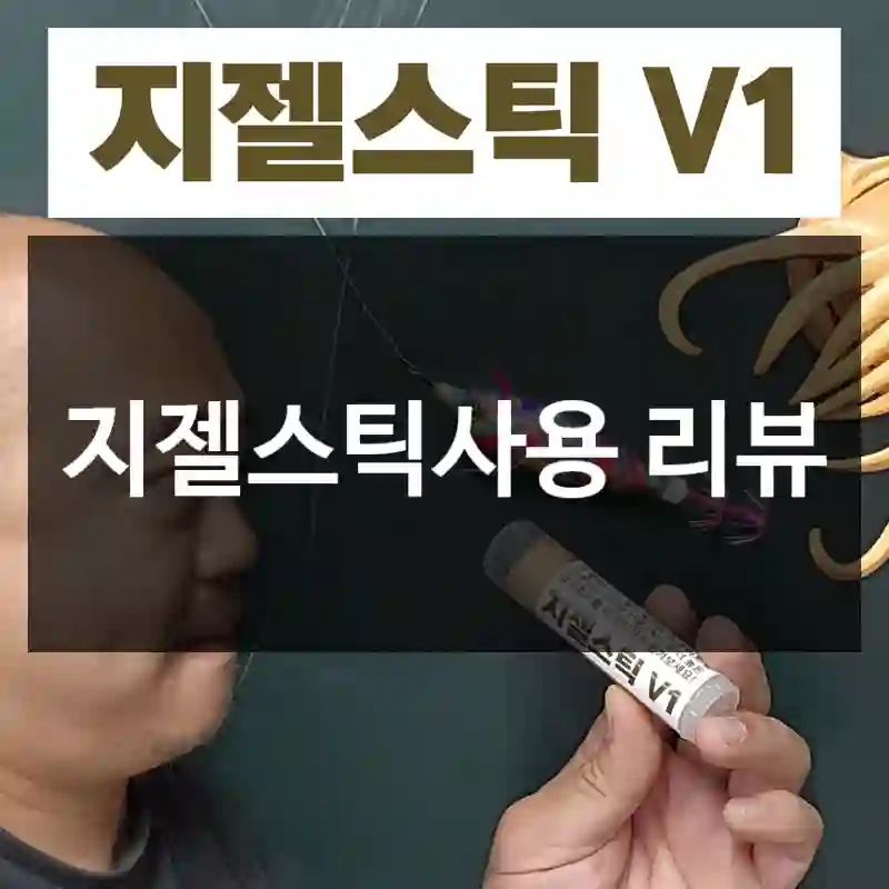 지젤스틱사용 리뷰