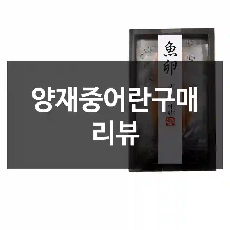 양재중어란구매 리뷰