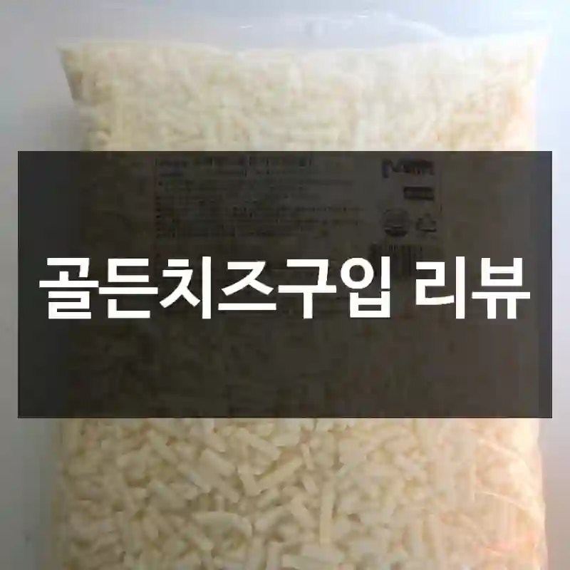 골든치즈구입 리뷰