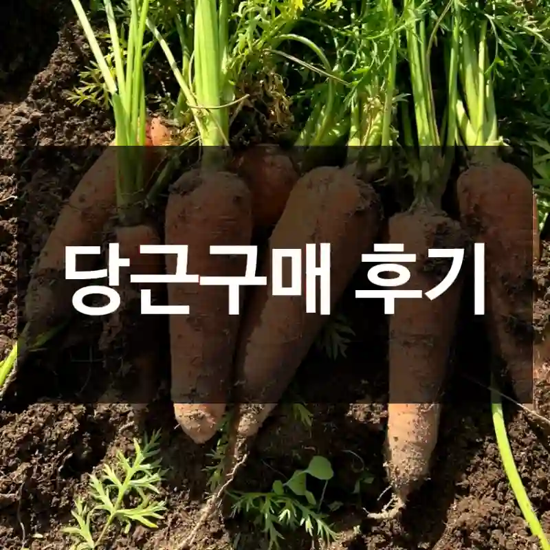당근구매 후기