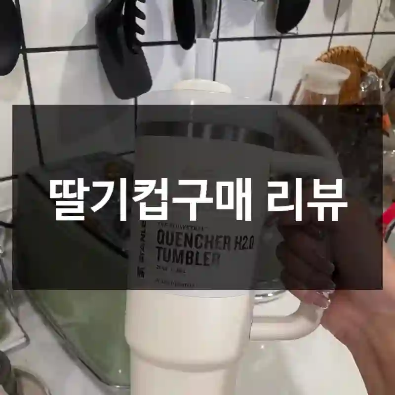 딸기컵구매 리뷰