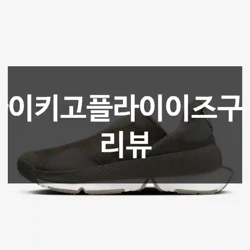 나이키고플라이이즈구매 리뷰