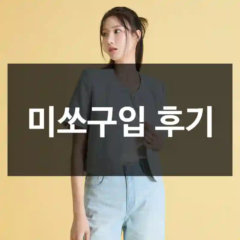 미쏘구입 후기