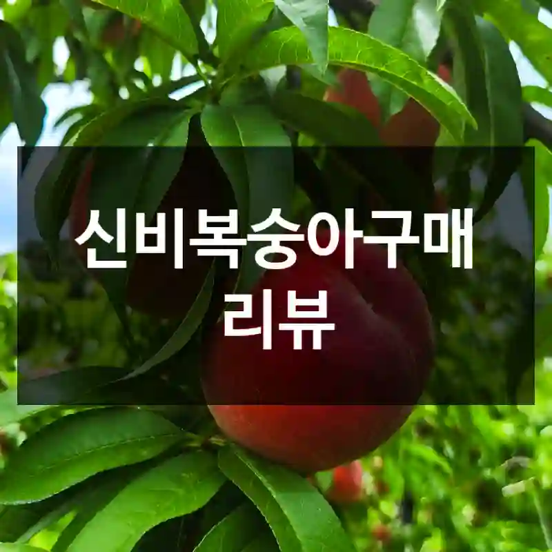 신비복숭아구매 리뷰