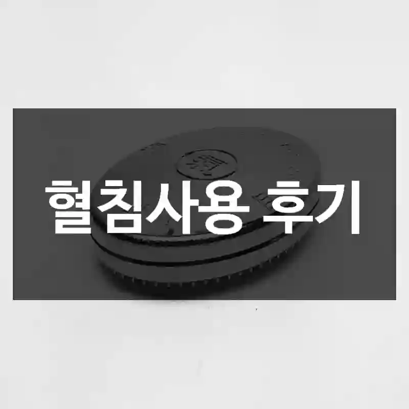 혈침사용 후기