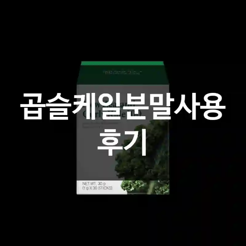 곱슬케일분말사용 후기