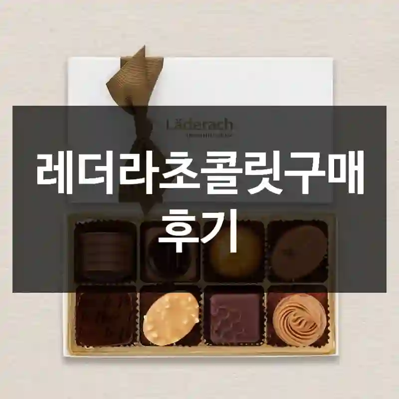 레더라초콜릿구매 후기