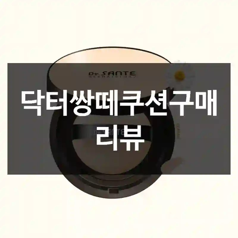 닥터쌍떼쿠션구매 리뷰